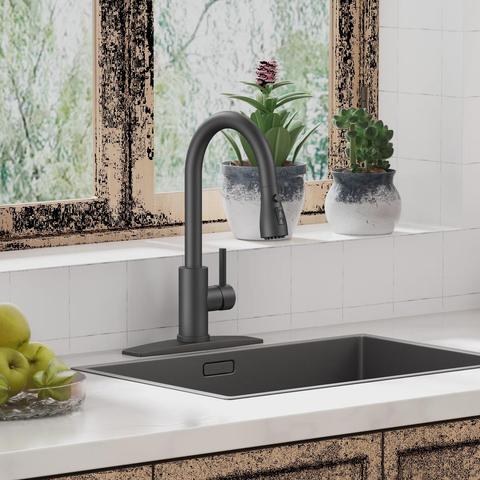 Pull Down Single Handle Kitchen Faucet with Accessories WW003HC