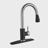 Pull Down Single Handle Kitchen Faucet with Accessories WW003HC