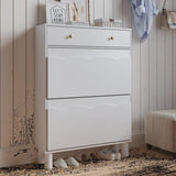 Modern Two-Tier Cloud Shoe Cabinet With Doors