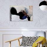 20"W X 30"H   Glossy Aluminum Print with Shadow Mount