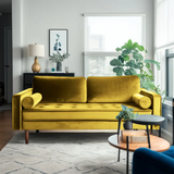Laurindo 70'' Velvet Sofa