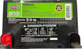Interstate Batteries  110Ah (L Terminal) Deep Cycle Mobility Battery Group 29 VRLA SLA AGM, Rechargeable Replacement for Campers, RVs, Trailers