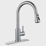 Pull Down Single Handle Kitchen Faucet with Accessories WW003HC
