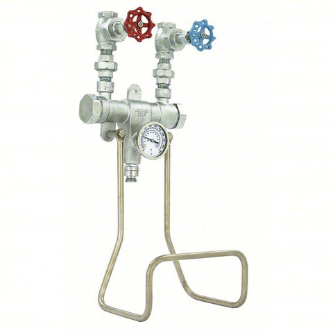 Hose Station: 3/4 in Pipe Size, FNPT x MGHT, 10 in Lg, 24 1/2 in Ht, Bronze, Chrome Finish