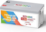 Redodo 12V 100Ah LiFePO4 Battery, 12 Volt lithium battery with 100A BMS
