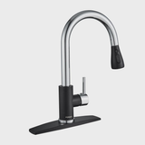 Pull Down Single Handle Kitchen Faucet with Accessories WW003HC