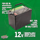 Interstate Batteries  110Ah (L Terminal) Deep Cycle Mobility Battery Group 29 VRLA SLA AGM, Rechargeable Replacement for Campers, RVs, Trailers