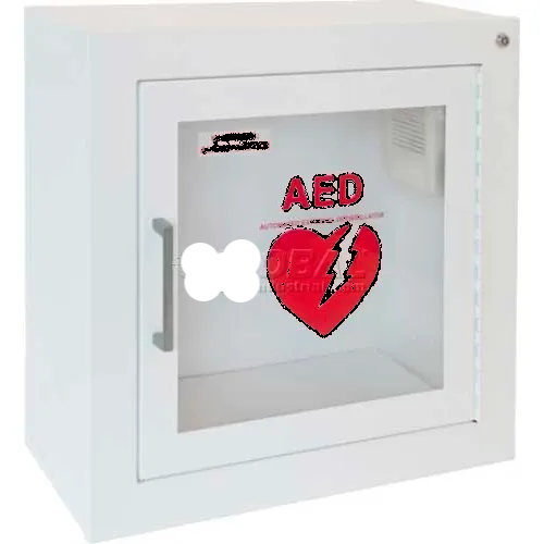 AED Cabinet Surface Mount, 85 db Audible Alarm, Steel – ADVANCED ...
