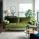 Laurindo 70'' Velvet Sofa