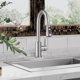 Pull Down Single Handle Kitchen Faucet with Accessories WW003HC