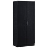 2-Door Armoire with 4-Shelves