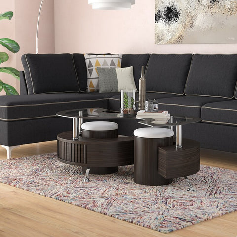 Milivoje Coffee Table with Storage