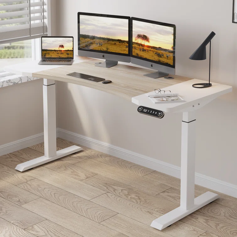Diarmuid 63" Height Adjustable Standing Desk