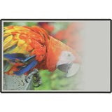 Best-Rite® Evolution Wall Mounted Whiteboard 48" X 48"