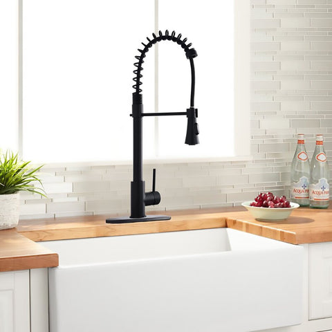 RN2089-BN Spring Pull Down Touch Single Handle Kitchen Faucet