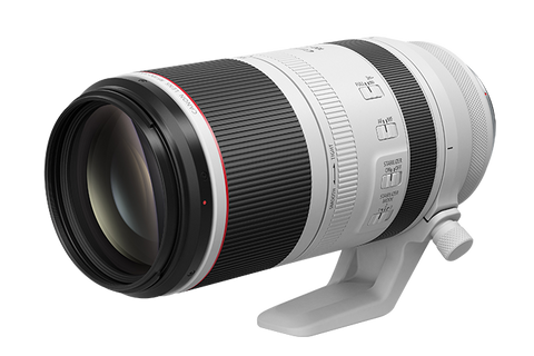 RF100-500mm F4.5-7.1 L IS USM