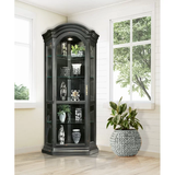 Kyles 34.65'' Wide Solid Wood Curio Cabinet with Lighting