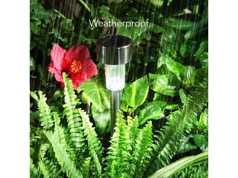 Dartwood Solar Pathway LED Lights (30 Pack , Black)