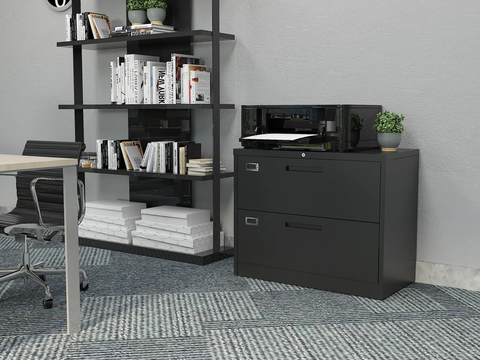 Karanicas 2-Drawer Lateral Filing Cabinet