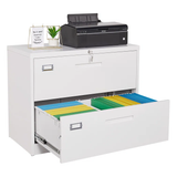 Karanicas 2-Drawer Lateral Filing Cabinet