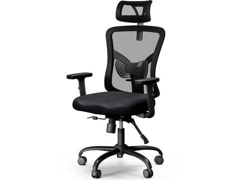 HUANUO Office Chair Ergonomic
