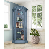 Kyles 34.65'' Wide Solid Wood Curio Cabinet with Lighting