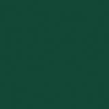 Avery Dennison Gloss Green Conform Chrome Flexible Vinyl Wrap Film SF 100